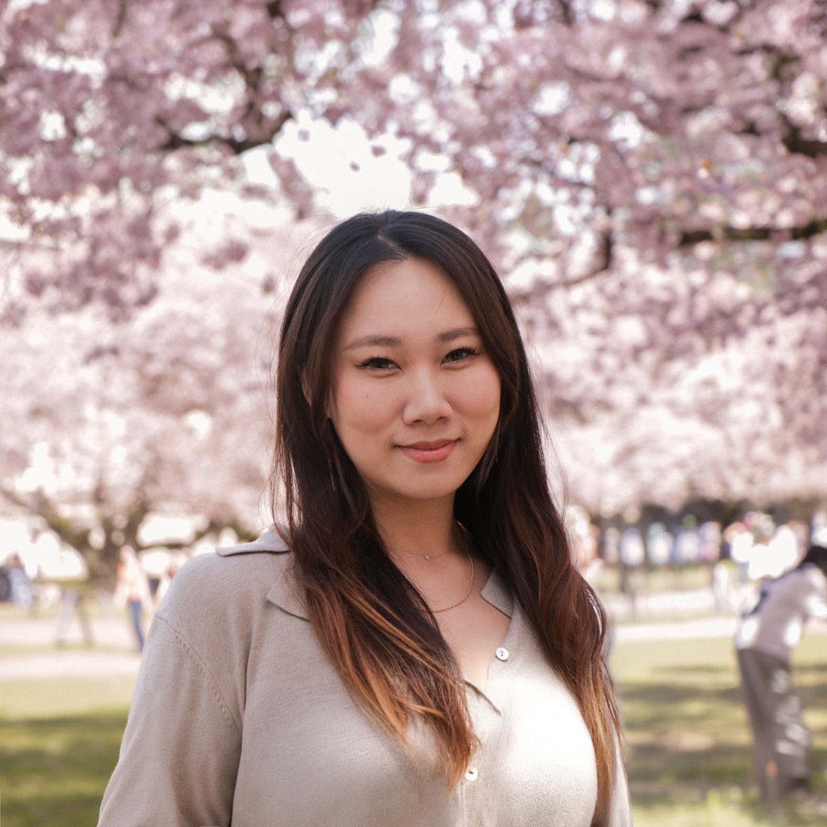 Stella under cherry blossoms at the University of Washington